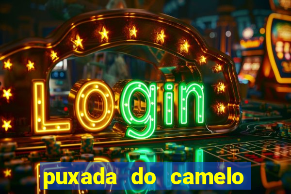 puxada do camelo no jogo do bicho